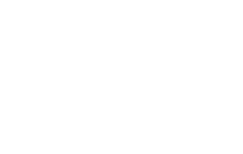 New Project 1